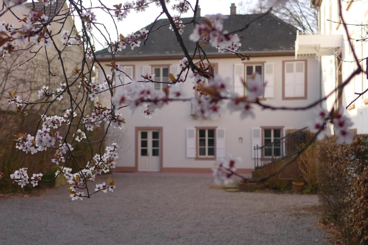 La Maison Carré Wolxheim Exterior foto